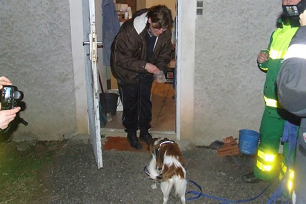 Symbolfoto zum Artikel: Erste Übung der Grünen Kreuz Hundestaffel mit der Feuerwehr