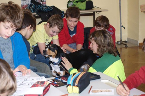 Symbolfoto zum Artikel: Ein Rettungshund in der Schule